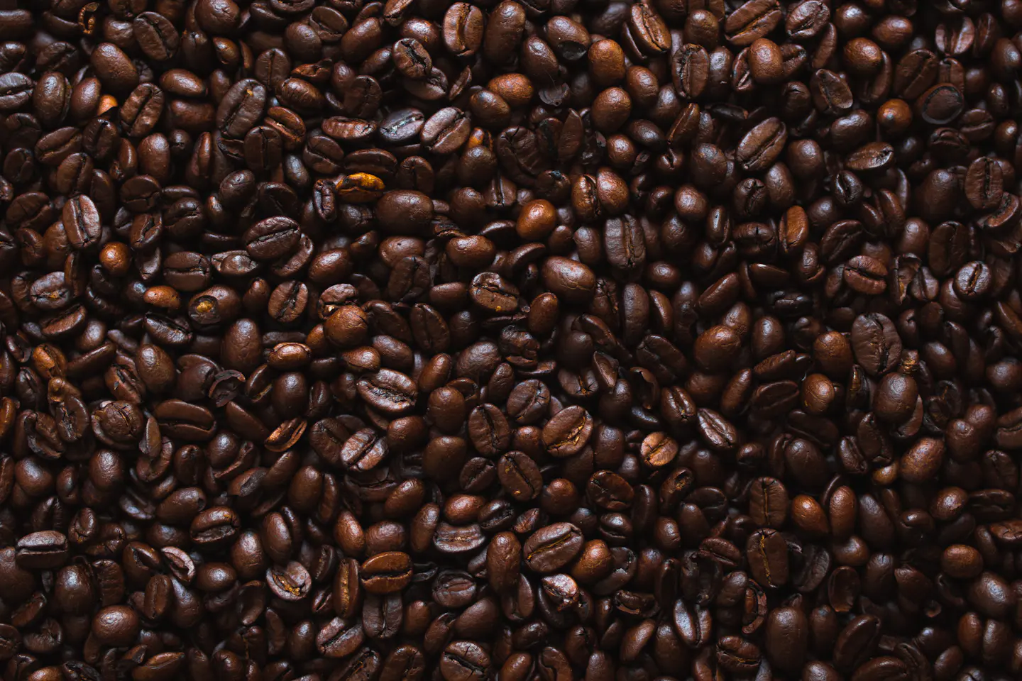 Dark espresso coffee atmosphere — Kitasando Reserve, Tokyo coffee gift