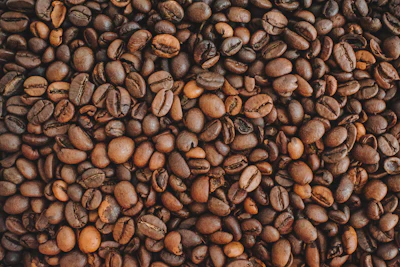 Refined simplicity — Kitasando Reserve, Tokyo coffee gift